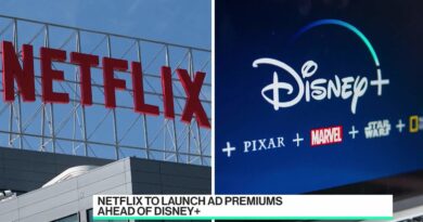 Former Disney Exec on Netflix Versus Disney+ Competition