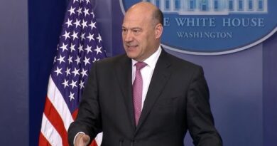 Former Goldman COO Gary Cohn on SPACs, Bitcoin, Crypto