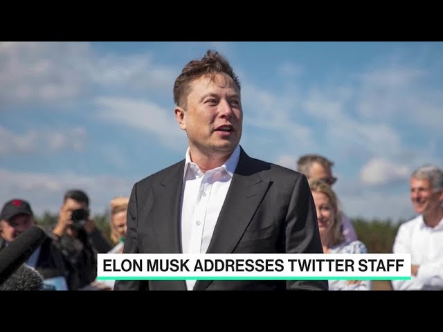 Former Twitter Employee Reacts to All-Hands Meeting With Musk