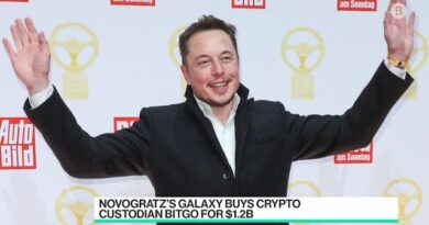 Give Musk Some Credit for the Dogecoin Rally: Novogratz