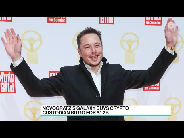 Give Musk Some Credit for the Dogecoin Rally: Novogratz