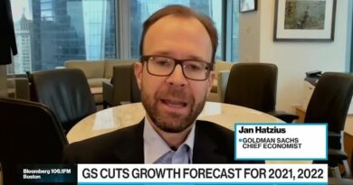 Goldman’s Hatzius: No Fed Rate Hike Next Year as Growth Slows