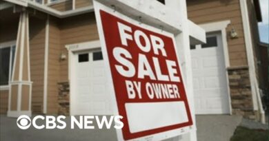 Housing market shows signs of cooling as home sales drop in June