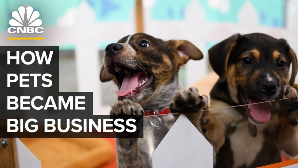 How America’s Love Of Cats And Dogs Became A  Billion Business