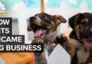 How America’s Love Of Cats And Dogs Became A  Billion Business