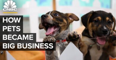 How America’s Love Of Cats And Dogs Became A  Billion Business