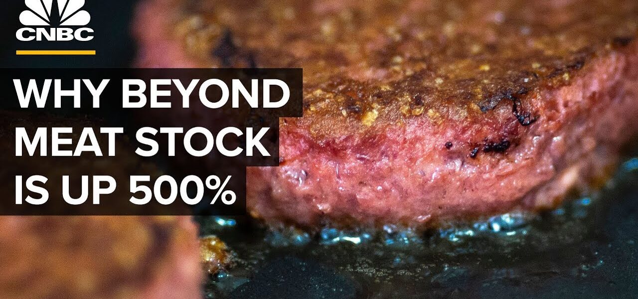 How Beyond Meat’s Stock Surged 500 Percent In 2019