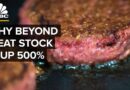 How Beyond Meat’s Stock Surged 500 Percent In 2019