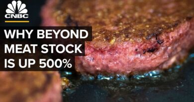 How Beyond Meat’s Stock Surged 500 Percent In 2019