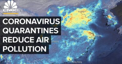 How Coronavirus Quarantines Lead To A Drop In Air Pollution