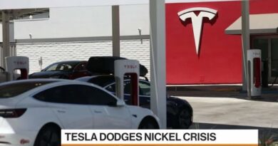 How Tesla Avoided a Nickel Supply Crisis