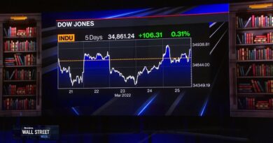 Interpreting the Yield Curve