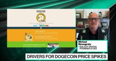 It’s Dangerous to Invest in Dogecoin, Says Novogratz