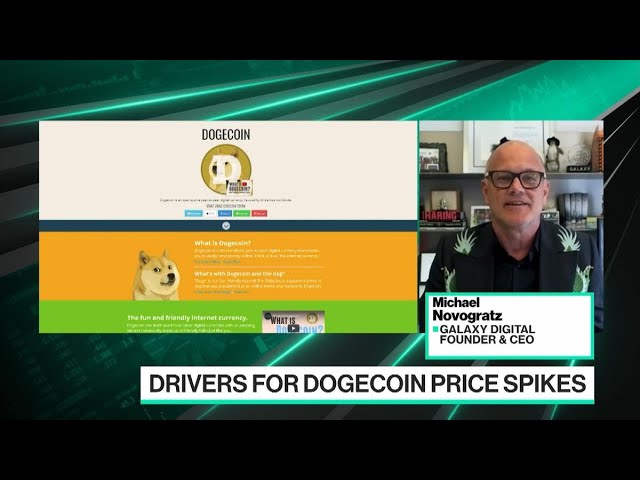 It’s Dangerous to Invest in Dogecoin, Says Novogratz