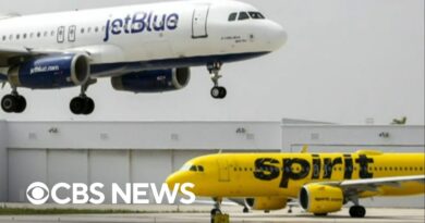 JetBlue to buy Spirit Airlines for .8 billion