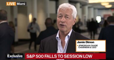 JPMorgan’s Dimon on Market Volatility: Get Used to It