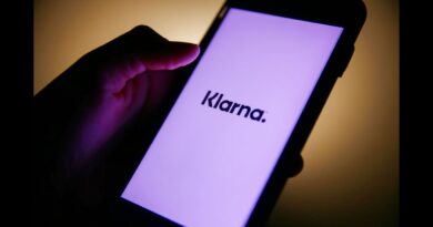 Klarna CEO on Buy Now, Pay Later and Crypto Marketing
