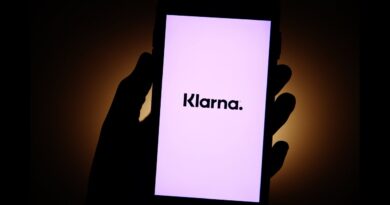 Klarna CEO on Future of Buy Now, Pay Later