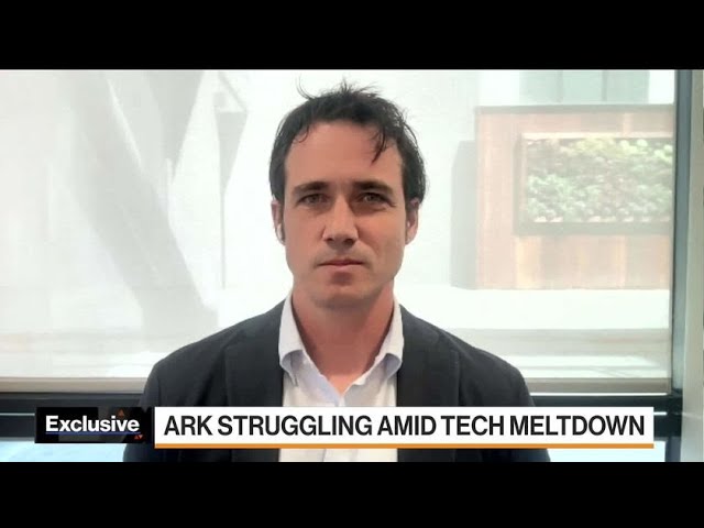 Markets Aren’t Pricing Fundamentals, Ark’s Winton Says