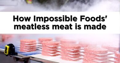 Meet the latest generation of meat — that isn’t meat.