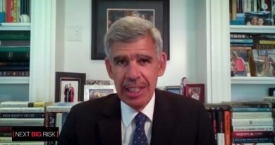 Mohamed El-Erian: Inequality Creates Next Big Risk