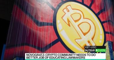 Novogratz: Crypto Is Still the Best Performing Asset Class