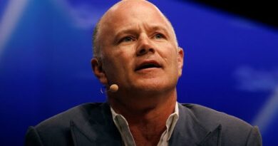 Novogratz Predicts One of the Most Important Years for Crypto