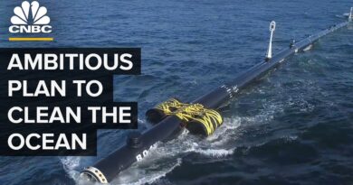 Ocean Cleanup Launched A Plastic Catcher