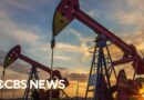 Oil expert provides insight on gas prices