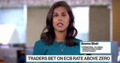 Principal’s Shah: Europe Can’t Afford More Volatility