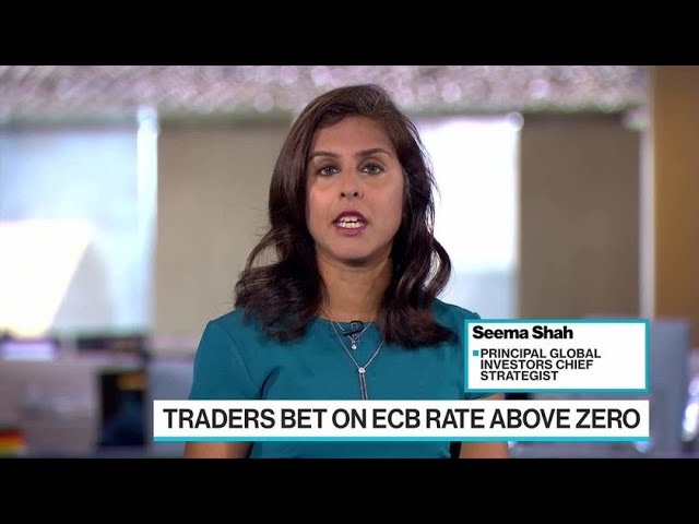 Principal’s Shah: Europe Can’t Afford More Volatility