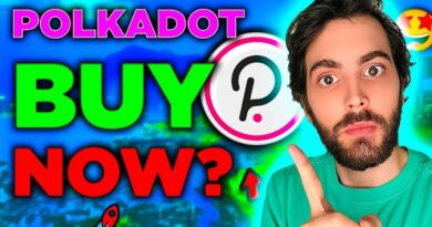 Is Polkadot still a good investment? Why DOT Crypto can 50x! 🚀