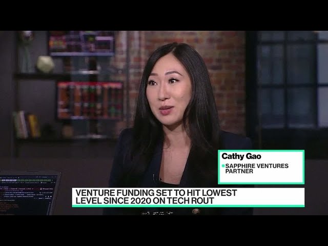 Sapphire’s Gao on VC Investing in a Global Downturn