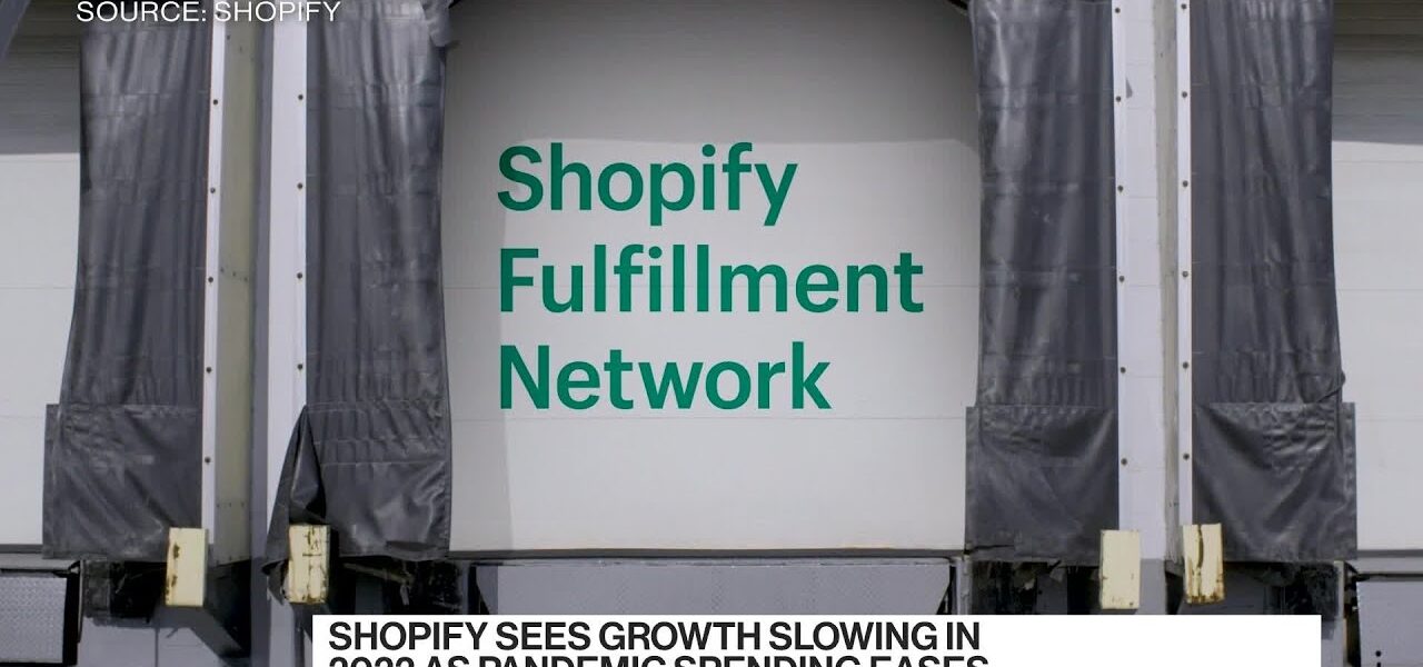 Shopify CEO on Earnings, Future Outlook