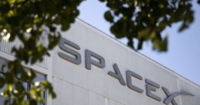 SpaceX Fires Workers That Criticized Musk