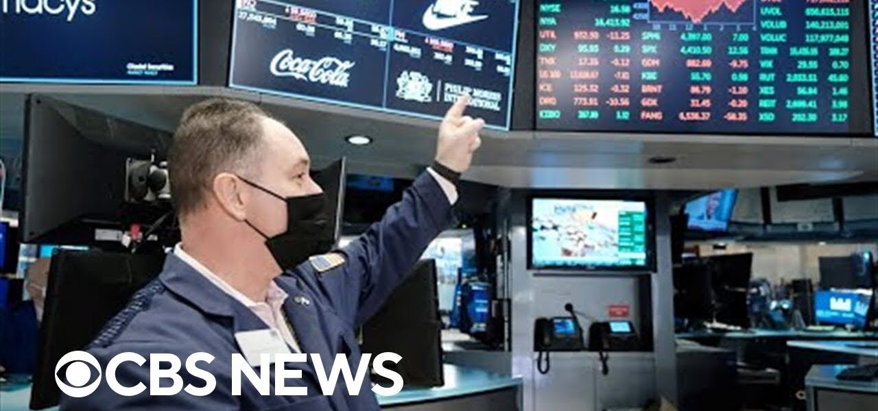 Stock market rebounds following plunge