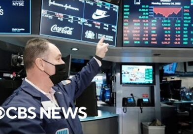 Stock market rebounds following plunge