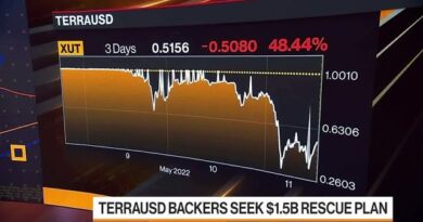 TerraUSD Stablecoin Plunges, Backers Seek Rescue Plan