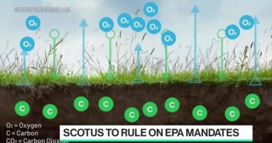 The Future of Carbon Removal Tech