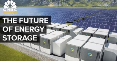 The Future Of Energy Storage Beyond Lithium Ion