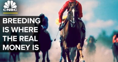 The Kentucky Derby Winners And Stud Fees | CNBC