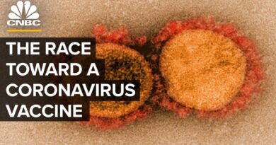 The Race To Develop A Coronavirus Vaccine