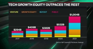 The Role of Growth Equity Investment in Innovation