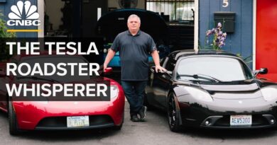 The Tesla Roadster Whisperer