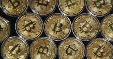 The Volatility of Crypto: Where Is Bitcoin Headed?