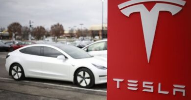 This 19-Year Old Says he Hacked Into Tesla’s