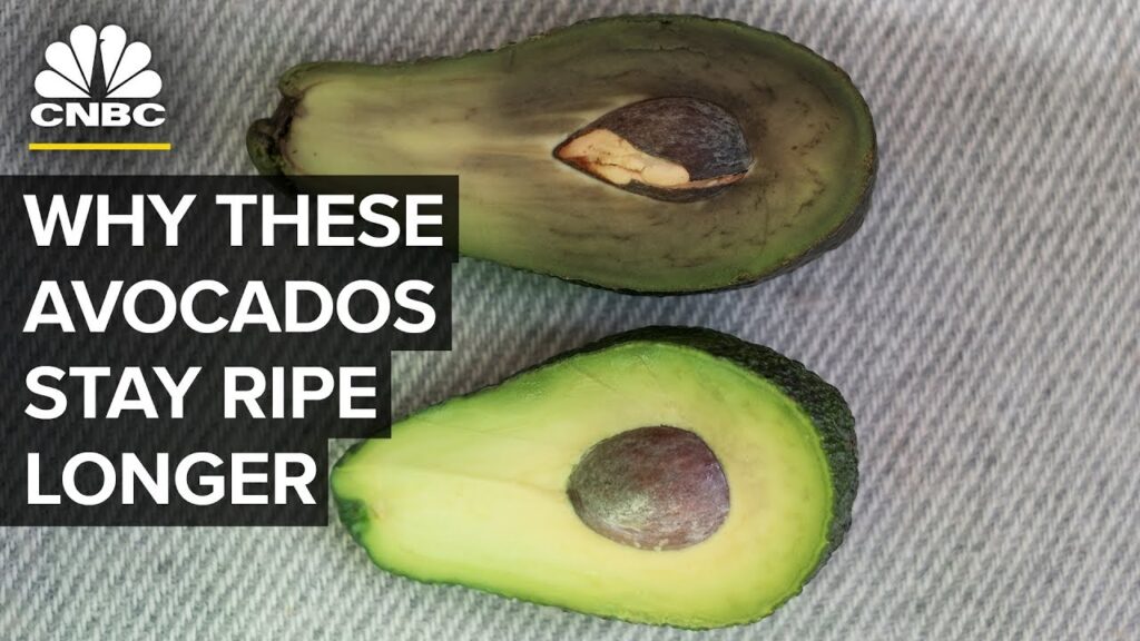 This Bill Gates-Backed Start-Up Keeps Avocados Ripe