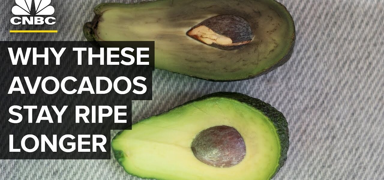 This Bill Gates-Backed Start-Up Keeps Avocados Ripe