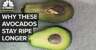 This Bill Gates-Backed Start-Up Keeps Avocados Ripe