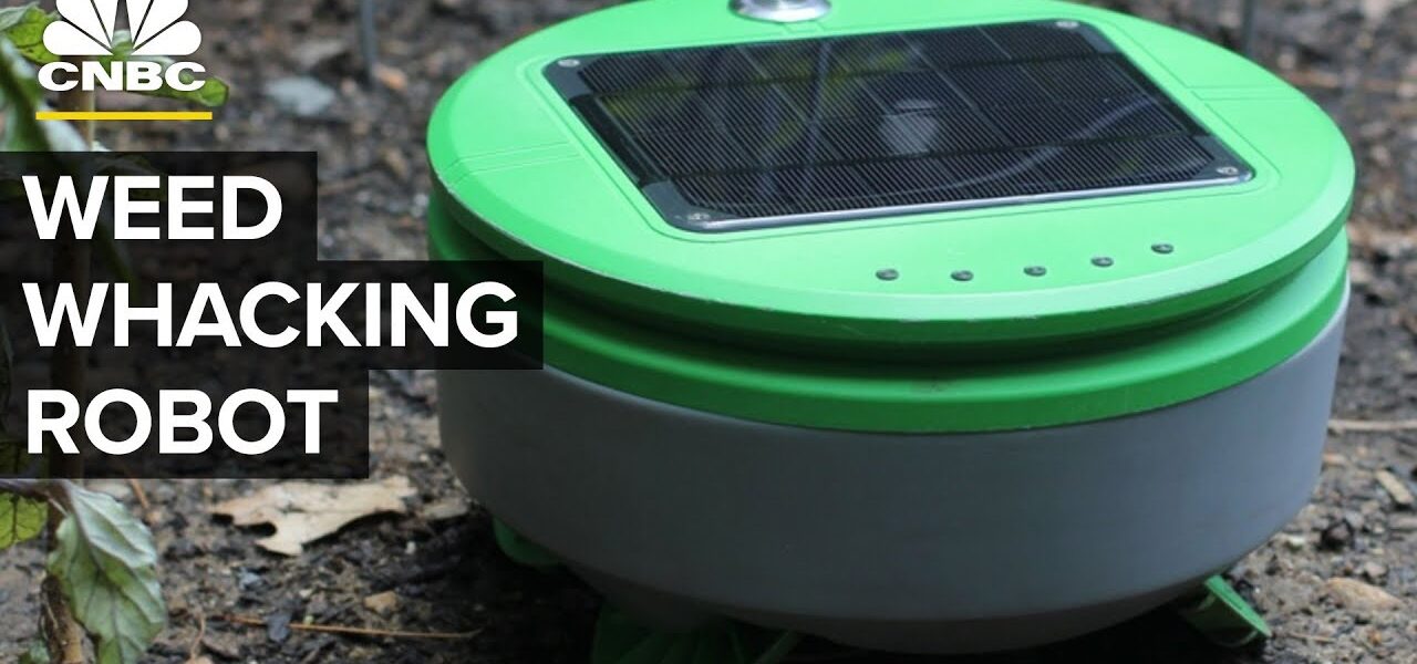 This Robot Works Like A Weed-Whacking Roomba | CNBC